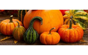 Vykutálený podzim: Druhy dýní a co s nimi
