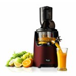 114-nuc by kuvings_whole slow juicer_evo820_dr_2.jpg
